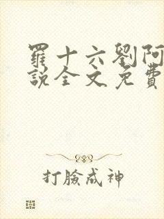 罗十六刘阿婆小说全文免费阅读