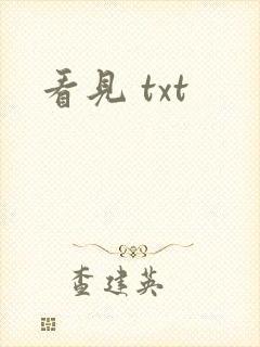 看见 txt