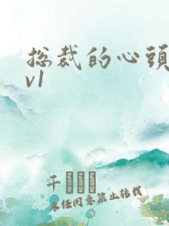 总裁的心头宝1v1