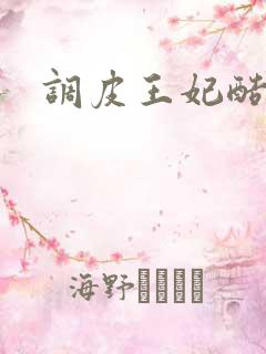 调皮王妃酷王爷