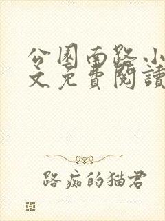 公园南路小说全文免费阅读