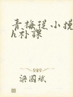 青梅从小摸到大h补课