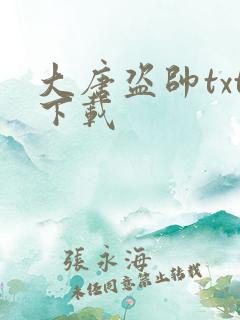 大唐盗帅txt下载