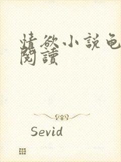 情欲小说龟全文阅读