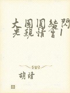 大团圆结闪闪发光亲情会1