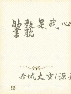 助教是我心尖宠书耽