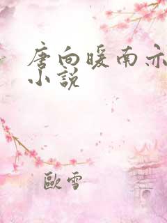 唐向暖南亦琛的小说