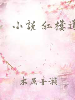 小说 红楼遗秘