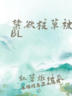 禁欲校草被C哭BL