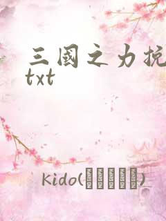 三国之力挽狂澜txt