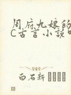 周府九娘的NPC古言小说叫什么
