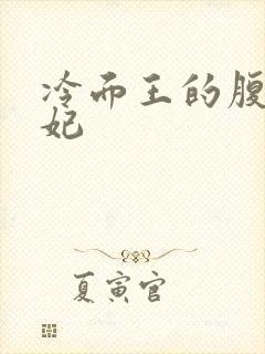 冷面王的腹黑王妃