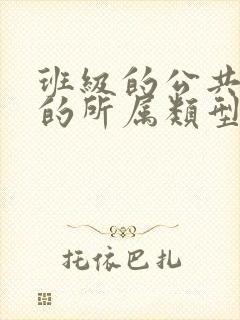 班级的公共小0的所属类型