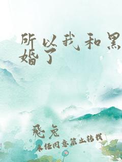 所以我和黑粉结婚了