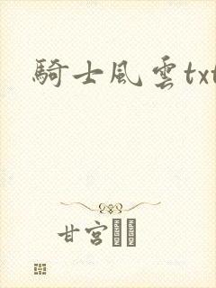 骑士风云txt