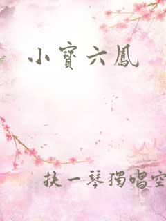 小宝六凤