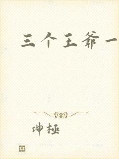 三个王爷一个妃