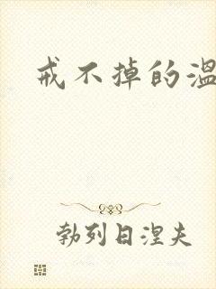戒不掉的温柔
