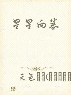 星星向蓉