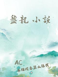 盘龙 小说