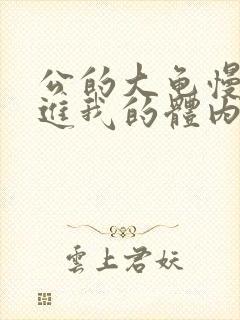 公的大龟慢慢挺进我的体内小说