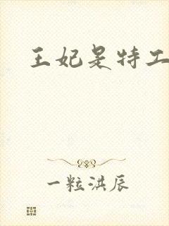 王妃是特工