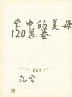 掌中的美母版主120慕卷