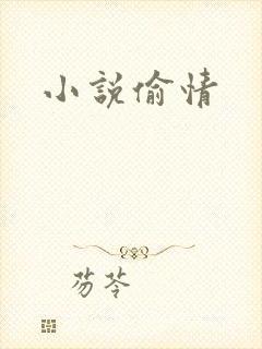 小说偷情