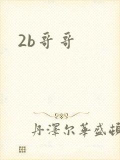 2b哥哥