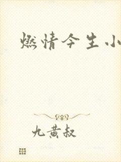 燃情今生小说