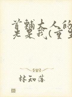 首辅大人的白月光是我(重生)