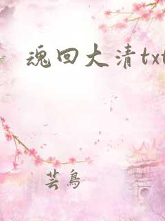 魂回大清txt
