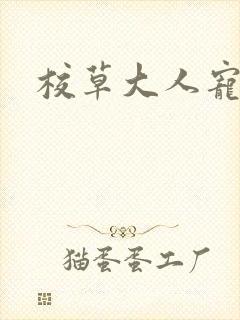 校草大人宠上瘾