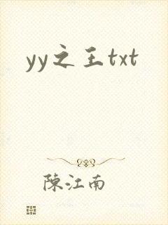yy之王txt