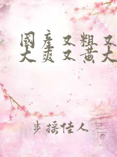 国产又粗又猛又大爽又黄大爷