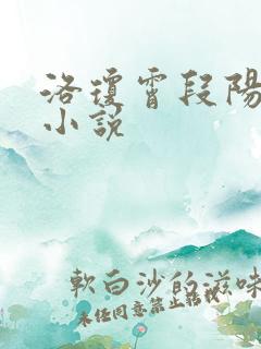 洛琼霄段阳澍的小说