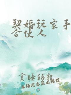 契婚玩家手册之合伙人