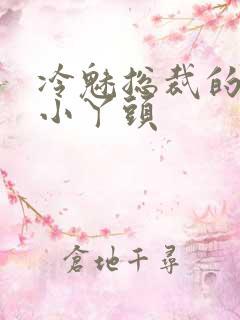 冷魅总裁的纯纯小丫头