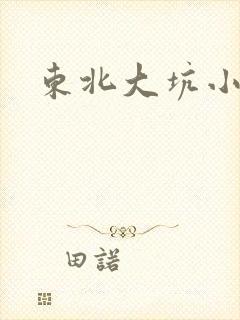 东北大坑小说