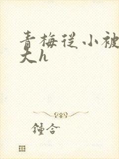 青梅从小被弄到大h