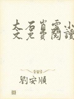 大石肖雪小说全文免费阅读