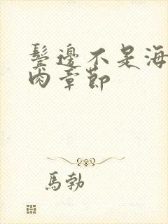 鬓边不是海棠红肉章节