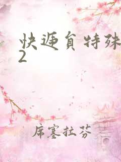 快递员特殊待遇2