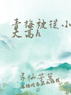 青梅被从小玩到大高h