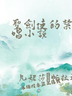 圣剑使的禁咒咏唱小说