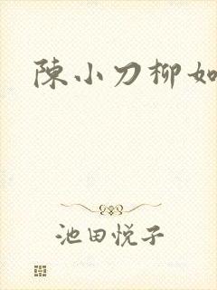 陈小刀柳如意