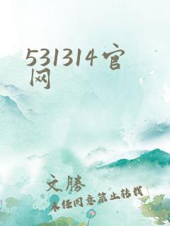 531314官网