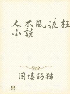 人不风流枉少年小说