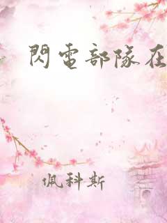 闪电部队在行动