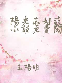 阳光正好苏玥玥小说免费阅读无弹窗